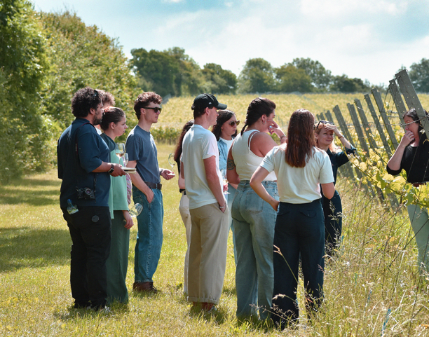 Kent has around 50 vineyards to discover. Image: Offvine