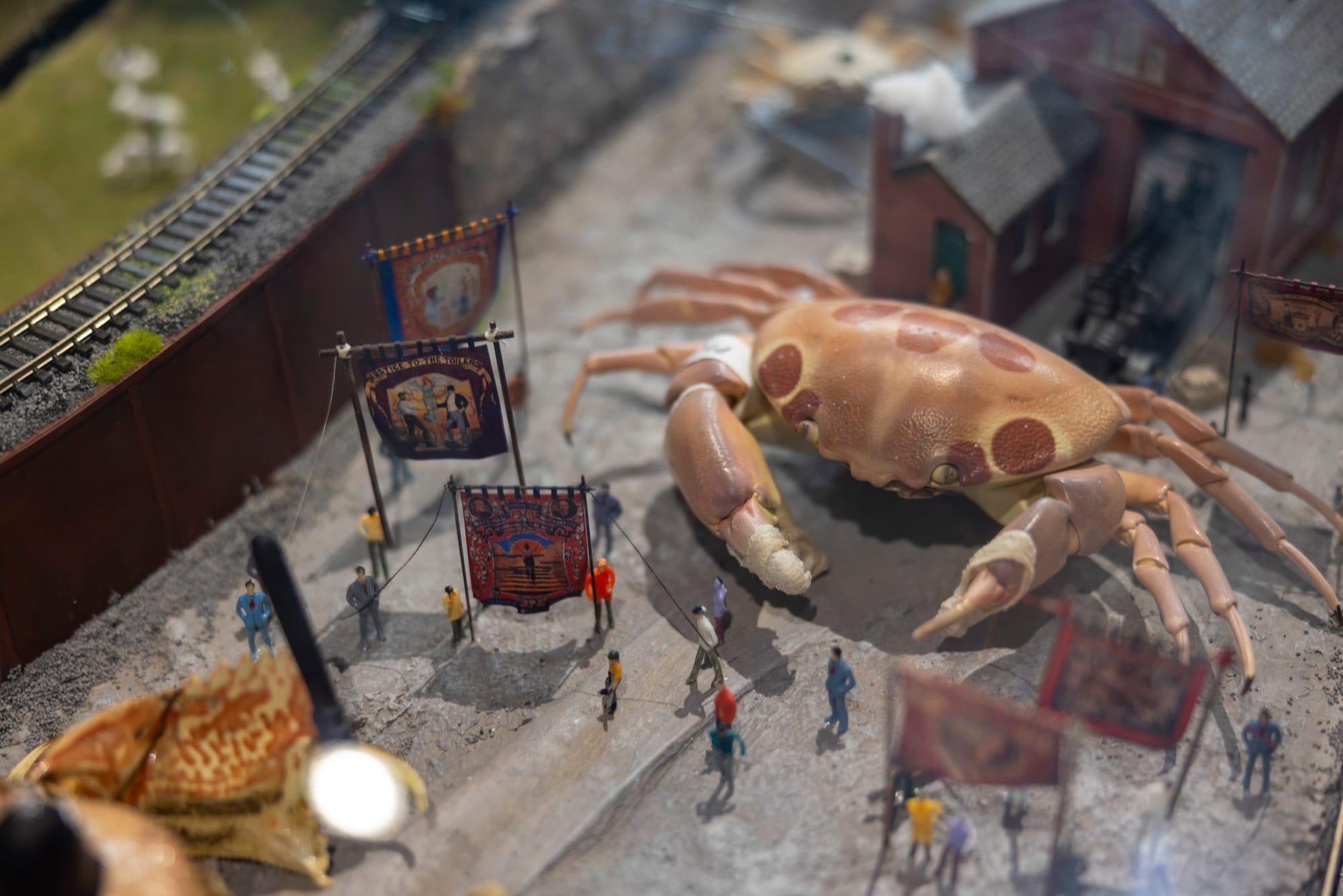 Check out the Vagina Museum's pop up at the Crab Museum this weekend. Photo: Crab Museum