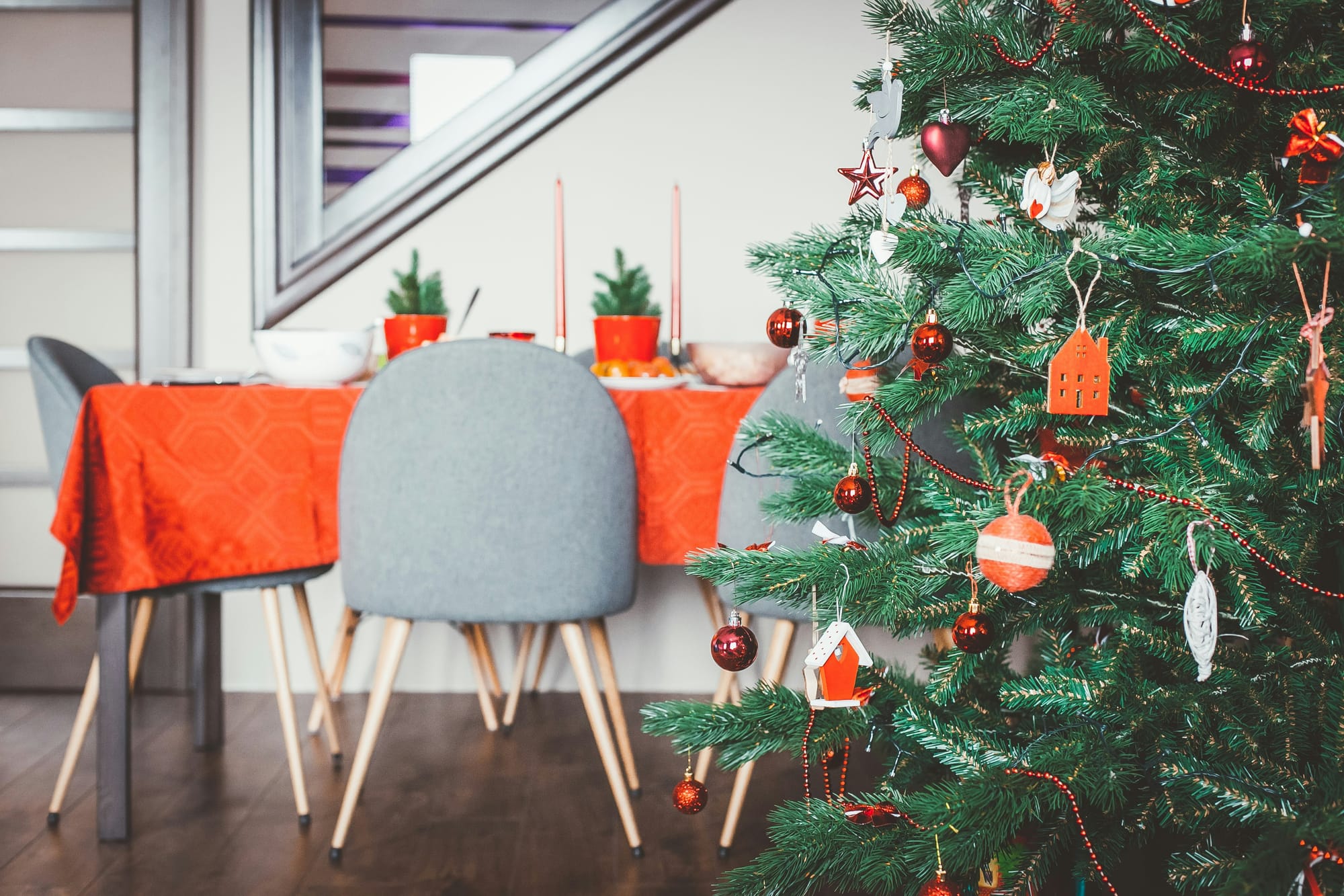 Have you picked up your Christmas tree? Image: Eugene Zhyvchik/Unsplash