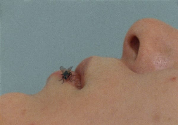 Still from Yoko Ono, FLY 1970-71. Courtesy the artist