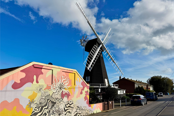 A windmill on a residential street with street art in the foreground
